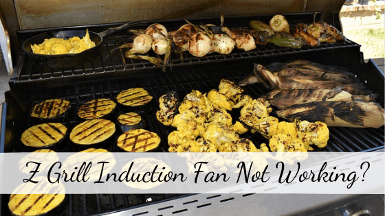 Z Grill Fan Not Working