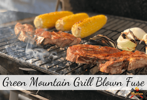 Green Mountain Grill Blown Fuse